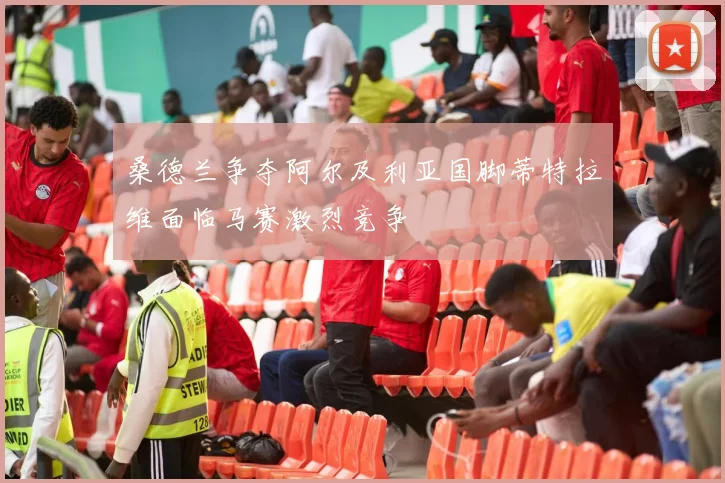桑德兰争夺阿尔及利亚国脚蒂特拉维面临马赛激烈竞争